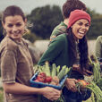 groupe de personne dans un potager
